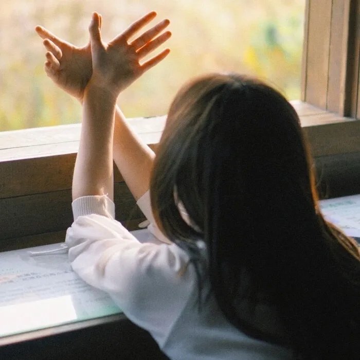 摇啊笑啊桥第二季