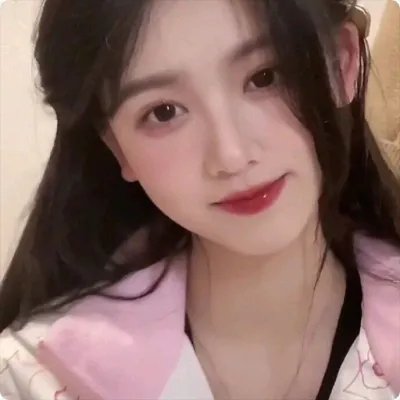 雪豹之暗战天机